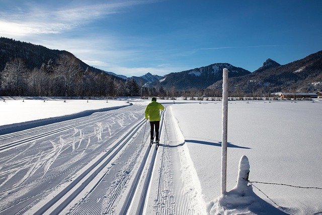 stux-cross-country-skiing-5931790_640